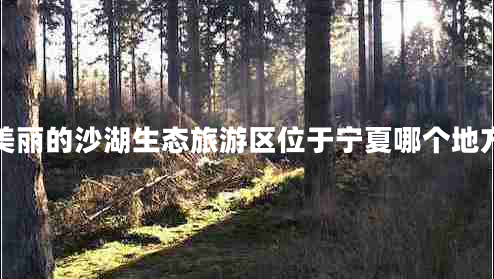 美丽的沙湖生态旅游区位于宁夏哪个地方