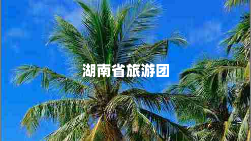 湖南省旅游团