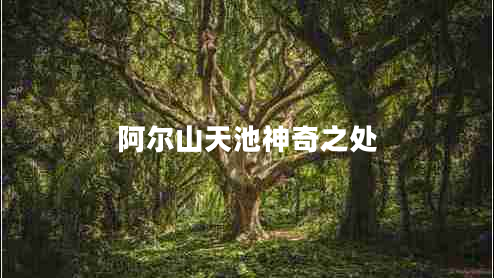 阿尔山天池神奇之处