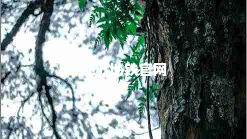 江苏地铁官网