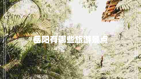 岳阳有哪些旅游景点