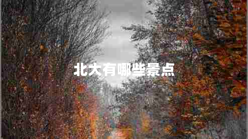 北大有哪些景点
