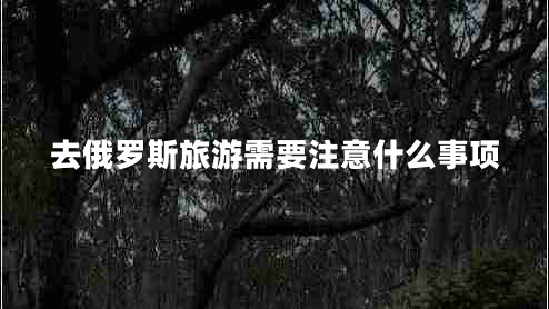 去俄罗斯旅游需要注意什么事项