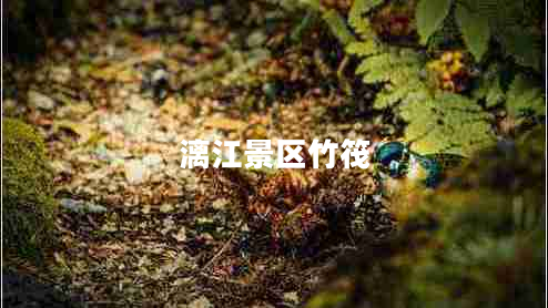 漓江景区竹筏 漓江景区竹筏