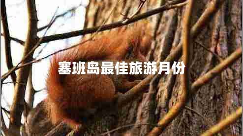 塞班岛最佳旅游月份