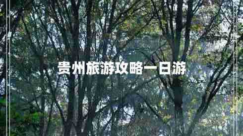贵州旅游攻略一日游