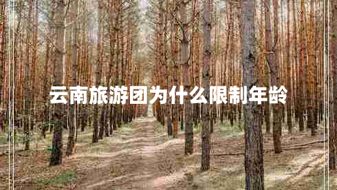 云南旅游团为什么限制年龄