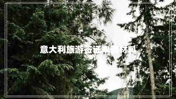 意大利旅游签证申请材料