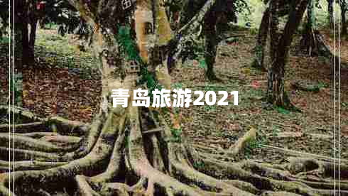 青岛旅游2021