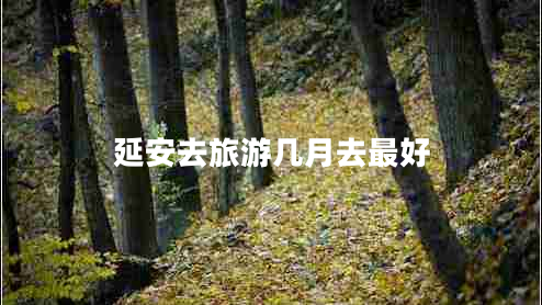 延安去旅游几月去最好