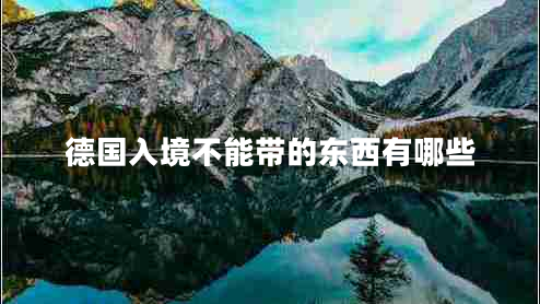 德国入境不能带的东西有哪些