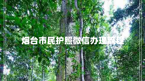 烟台市民护照微信办理流程