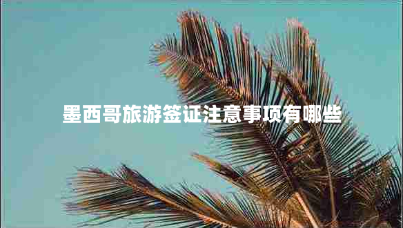 墨西哥旅游签证注意事项有哪些