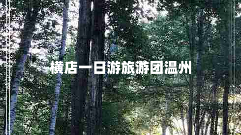 横店一日游旅游团温州