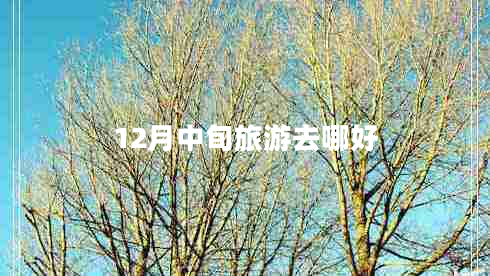 12月中旬旅游去哪好