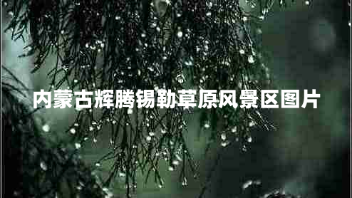 内蒙古辉腾锡勒草原风景区图片