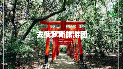 去俄罗斯旅游团