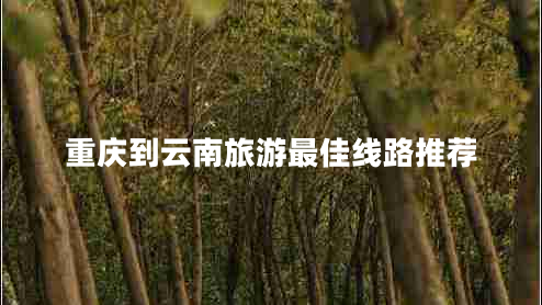 重庆到云南旅游最佳线路推荐