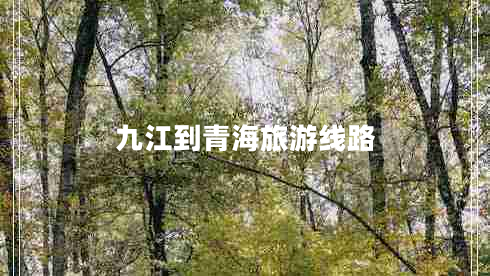 九江到青海旅游线路