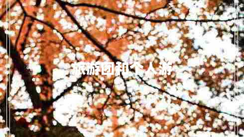 旅游团和个人游 旅游团和个人游