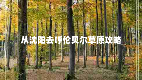 从沈阳去呼伦贝尔草原攻略