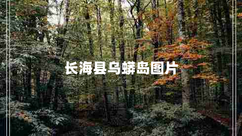 长海县乌蟒岛图片