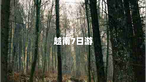 越南7日游