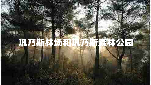 巩乃斯林场和巩乃斯森林公园