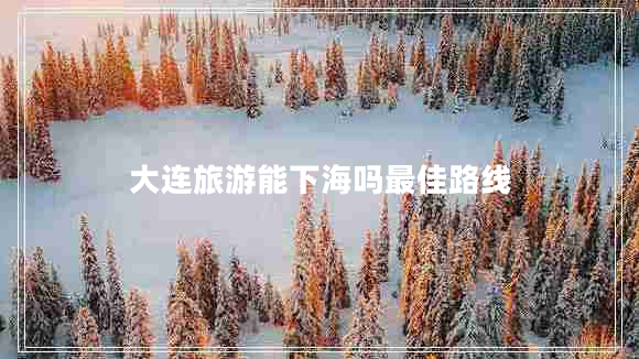 大连旅游能下海吗最佳路线