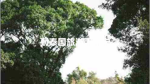 到泰国旅游手机卡