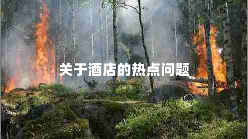 关于酒店的热点问题