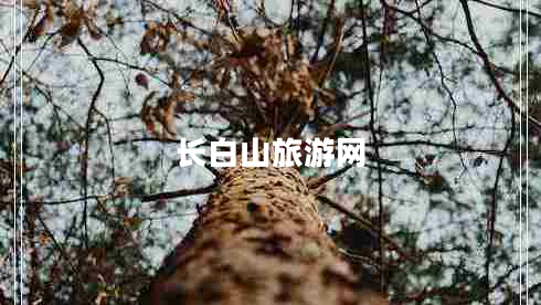 长白山旅游网