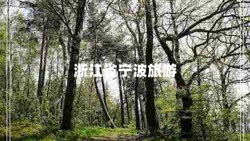 浙江省宁波旅游
