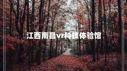 江西南昌vr科技体验馆