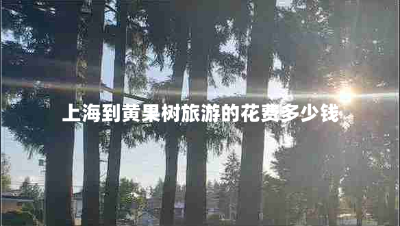 上海到黄果树旅游的花费多少钱