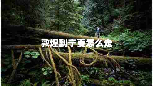 敦煌到宁夏怎么走