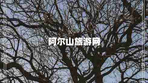 阿尔山旅游网