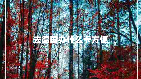 去德国办什么卡方便