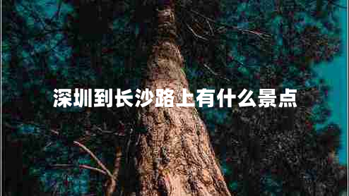 深圳到长沙路上有什么景点 深圳到长沙路上有什么景点