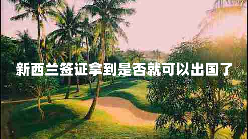 新西兰签证拿到是否就可以出国了