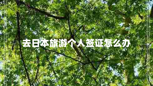 去日本旅游个人签证怎么办