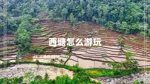 西塘怎么游玩