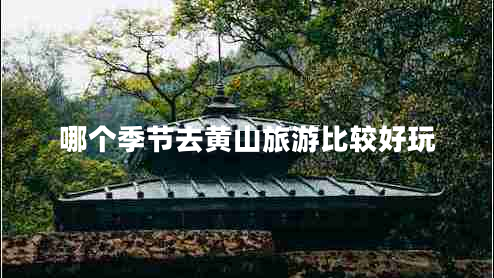 哪个季节去黄山旅游比较好玩