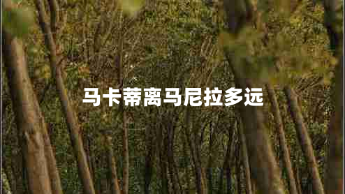 马卡蒂离马尼拉多远