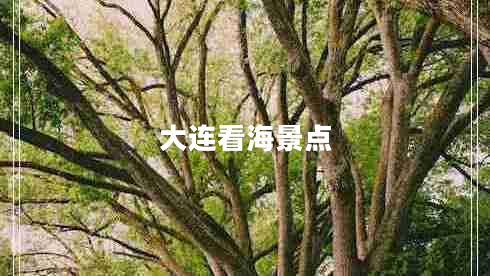 大连看海景点