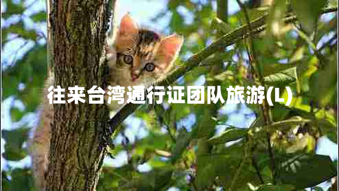 往来台湾通行证团队旅游(L)