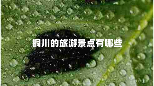 铜川的旅游景点有哪些