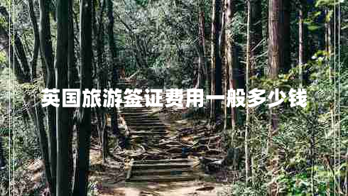 英国旅游签证费用一般多少钱