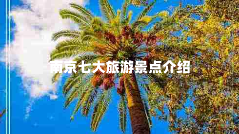 南京七大旅游景点介绍