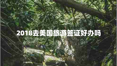 2018去美国旅游签证好办吗